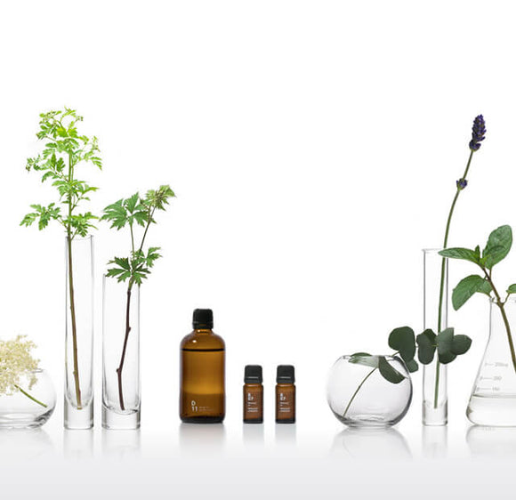 Aroma | smell therapy