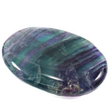 Fluorite Palm- الفلورايات البيضاوي