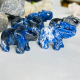 فيل السودلايت -  استقبال الحكمة والمعرفة ودعمك في عملك وانجازك