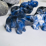 فيل السودلايت -  استقبال الحكمة والمعرفة ودعمك في عملك وانجازك