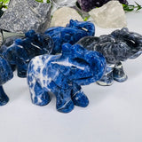 فيل السودلايت -  استقبال الحكمة والمعرفة ودعمك في عملك وانجازك