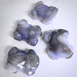 ضفدع حجر العقيق -  الرخاء وسهولة التنقل واقتناص الفرص المناسبة