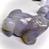 ضفدع حجر العقيق -  الرخاء وسهولة التنقل واقتناص الفرص المناسبة