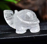 سلحفاة الكوارتز -   للبقاء والتجذر والاستمرار طويل الأمد