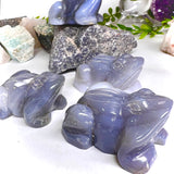 ضفدع حجر العقيق -  الرخاء وسهولة التنقل واقتناص الفرص المناسبة