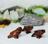 الإتساع والحرية والحب والسعادة - عصفور حجر الأوبسيديان