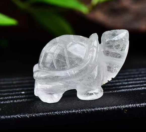 سلحفاة الكوارتز -   للبقاء والتجذر والاستمرار طويل الأمد