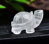 سلحفاة الكوارتز -   للبقاء والتجذر والاستمرار طويل الأمد